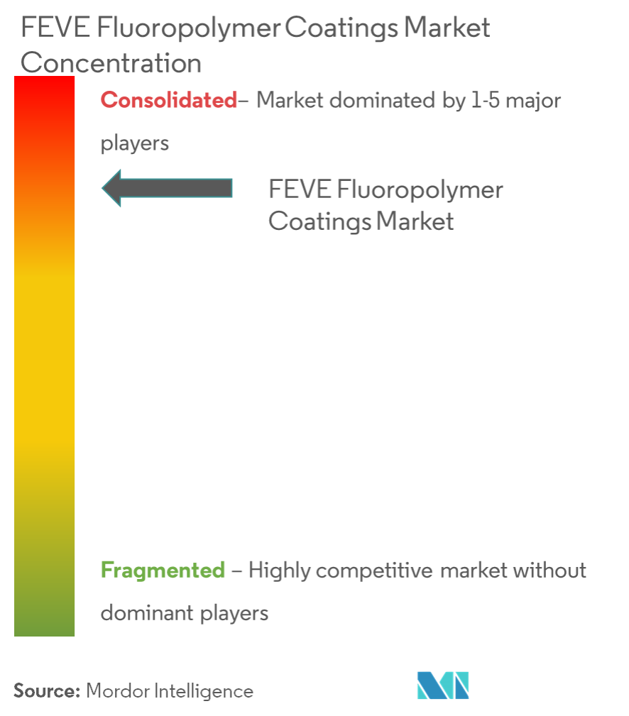 PPG Industries Inc., AkzoNobel NV, Công ty Sherwin Williams, Daikin Industries Ltd, Tập đoàn KCC.